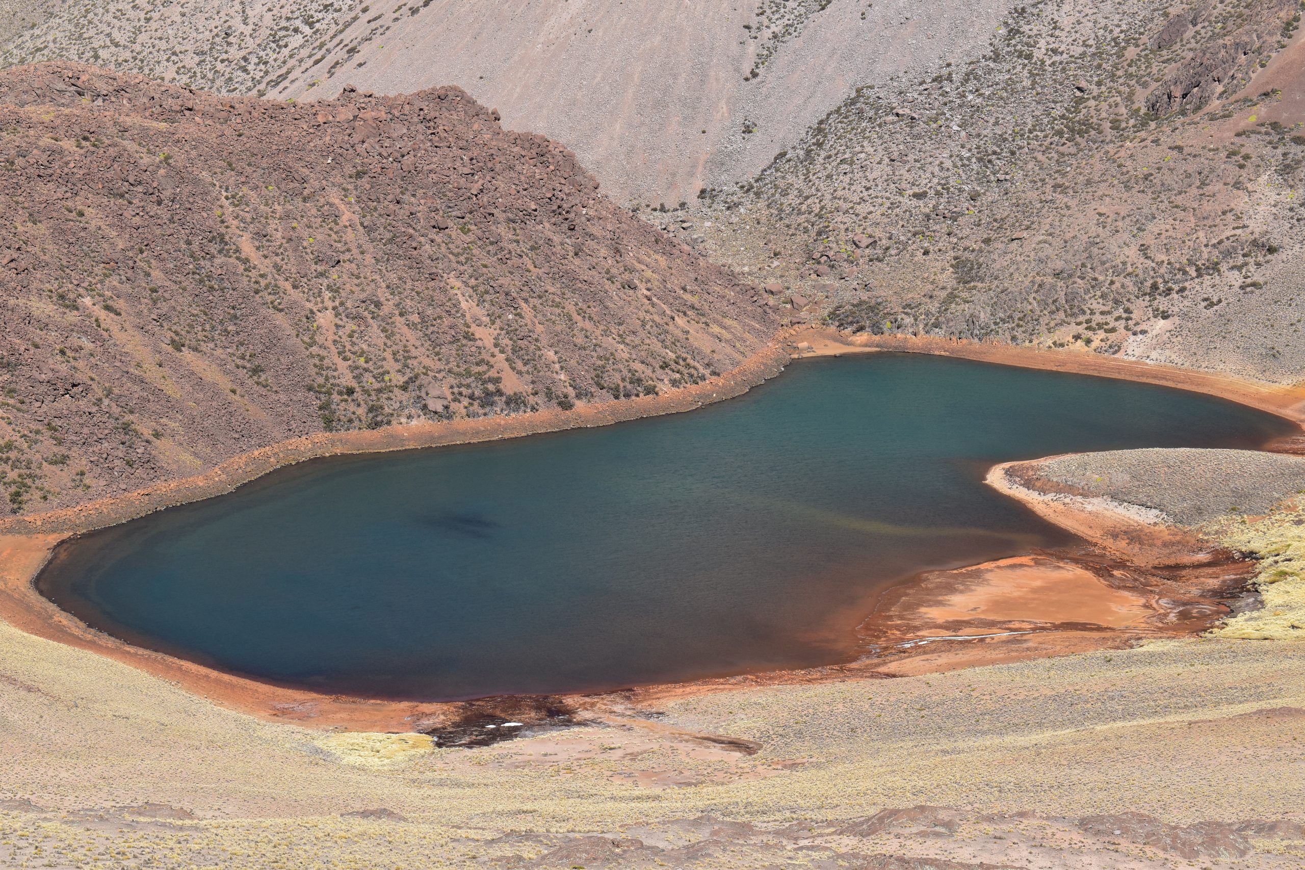 Lagto casilla tomave